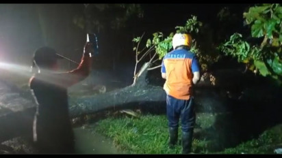 Diterjang Hujan Lebat Disertai Angin Kencang, Puluhan Pohon Tumbang dan Rusak Atap Stasiun Caruban