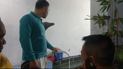 Diduga Kurang Pengawasan, Bocah 5 Tahun di Probolinggo Tewas Tenggelam, di Kolam Ikan dalam Rumahnya