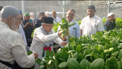 Bisa Panen Sepanjang Tahun, Ponpes Al-Fatah Kenalkan Cara Bercocok Tanam dengan Sistem Demplot Hidroponik