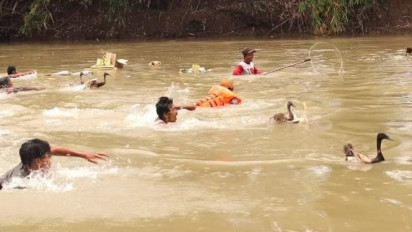 Sambut Hari Raya Nyepi, Umat Hindu Pringsewu Lepas Itik dan Angsa ke Sungai