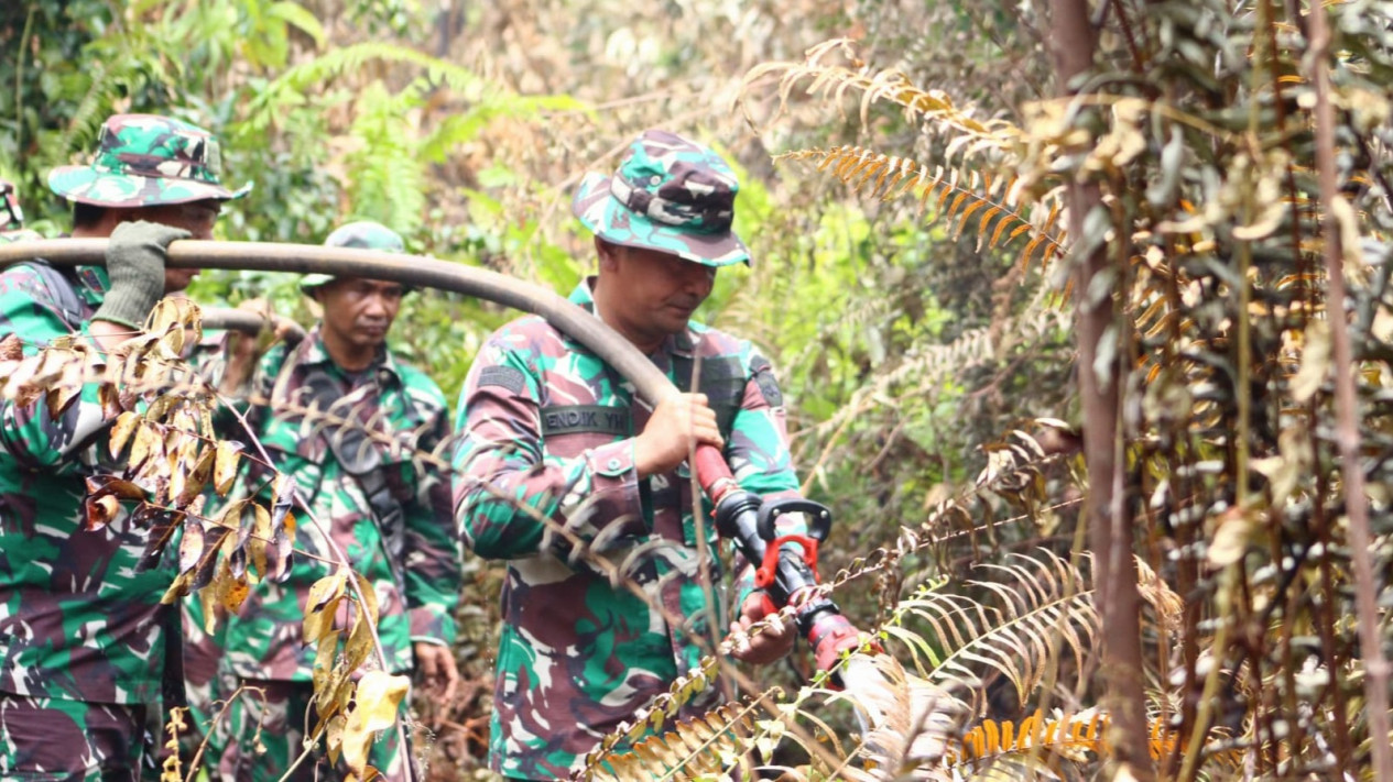 Dandim 0303 Bengkalis Berupaya Padamkan Karhutla yang Hanguskan Puluhan Hektare Lahan Gambut di Bengkalis, Begini Kendalanya
            - galeri foto