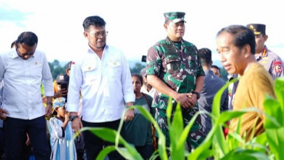 Optimalkan Lahan Tidur, Kementan Siapkan Keerom Jadi Sentra Komoditas Jagung Nasional