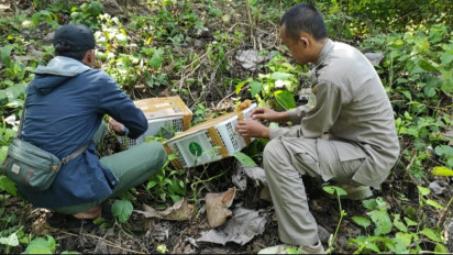 Karantina Pertanian Sumbawa dan KP3 Poto Tano Gagalkan Pengiriman Burung Kecial tanpa Dokumen