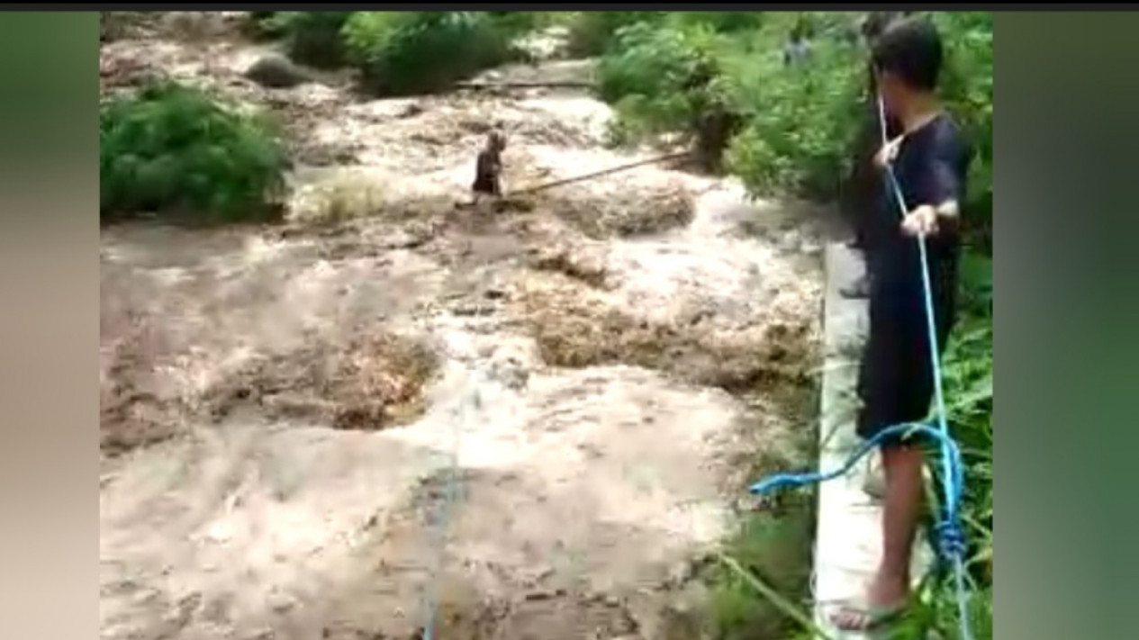 Viral, Aksi Penyelamatan Seorang Pemancing yang Terjebak Banjir Bandang di Tengah Sungai Catur, Madiun
            - galeri foto