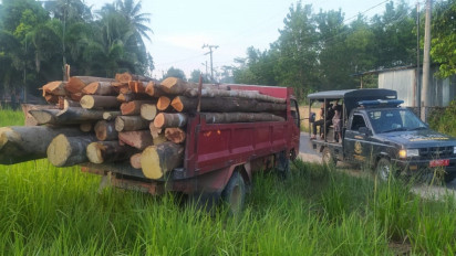 Polisi Kehutanan Kepri Amankan 2 Ton Kayu Ilegal Asal Hutan Lindung