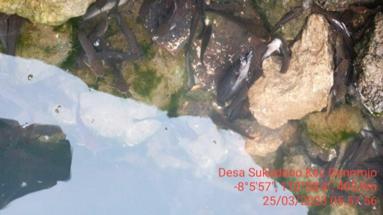 Diduga Ditaburi Racun, Sumber Mata Air Warga di Pacitan Tercemar Polisi Tengah Dalami Motifnya
            - galeri foto