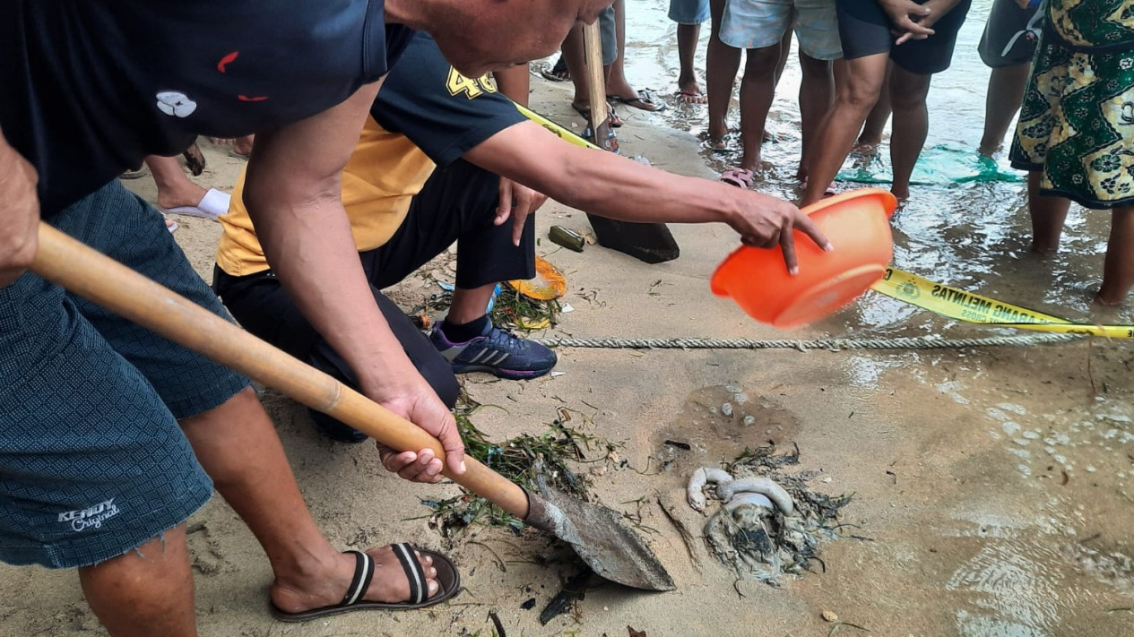 Orok Tertimbun Pasir Pantai Bunaken Gegerkan Warga
            - galeri foto