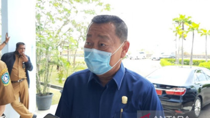 Perampingan Bandara Internasional, DPRD Harap 2 Bandara di Kepri Tak Dicabut Status Internasionalnya