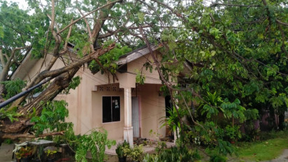 Akibat Hujan Deras Disertai Angin Kencang, Sebuah Pohon Timpa Rumah Warga