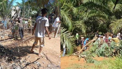 Pendudukan Lahan oleh Masyarakat di Atas Lahan HGU/IUP Perusahaan