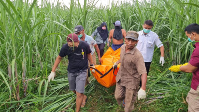Perempuan dan Bayi Baru Dilahirkan Ditemukan Tewas di Perkebunan Tebu di Kediri
