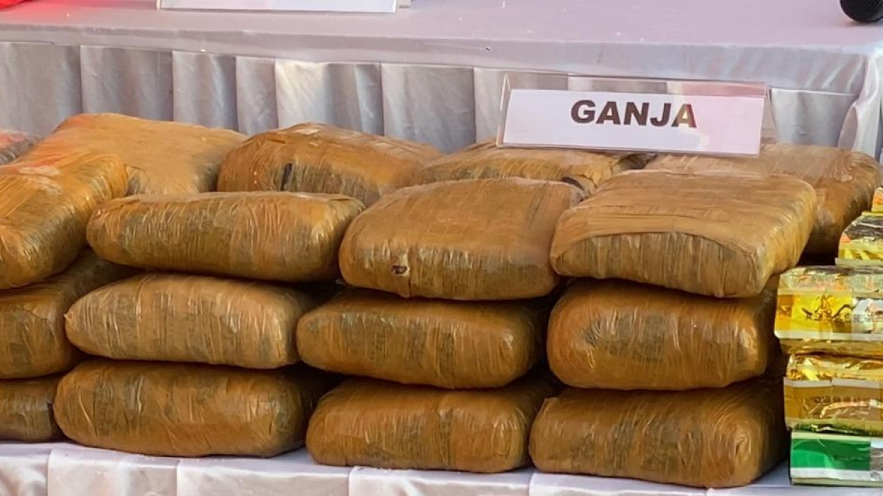 Bawa Ganja 1,3 Ton! Warga Aceh Diadili di PN Medan
            - galeri foto
