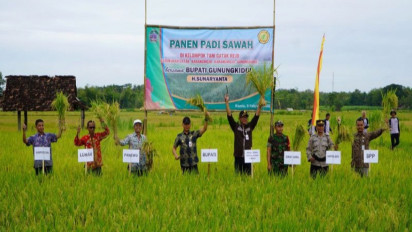 Ketahanan Pangan Gunungkidul Dipastikan Aman, Pemkab akan Beri Bantuan Alat Pertanian Modern