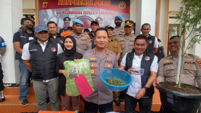 Duh! Warga Bandung Ditangkap Karena Tanam Ganja di Rumah