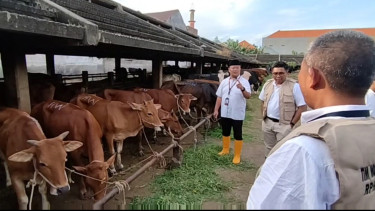 Sepekan Ramadhan Penjualan Daging Sapi Mulai Meningkat, RPH Pastikan Stok Aman