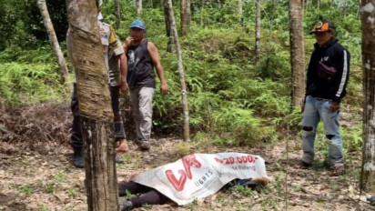 Sadis! Seorang Lansia Dibunuh di Perkebunan Karet, Polda Kalsel akan Panggil Petinggi PT JGA