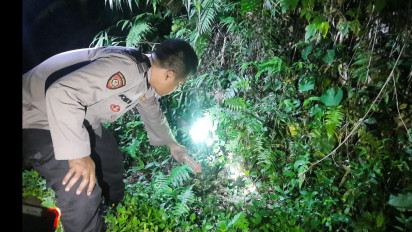 Bayi Laki-laki Dibuang Orang Tuanya di Pinggir Jalan Alas Jati Blitar