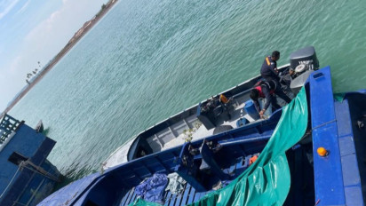 Wow, Penyelundupan 60 Ribu Benih Lobster Digagalkan Bea Cukai Batam