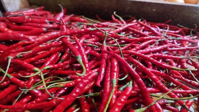 Jelang Lebaran Idul Fitri, Harga Cabai Meroket Tinggi, Ternyata Ini Pemicunya