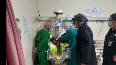 Ini Kisah Cinta Tak Direstui, Alasan Bapak Kandung Pura-pura Temukan Bayi di Hutan Jati, Blitar