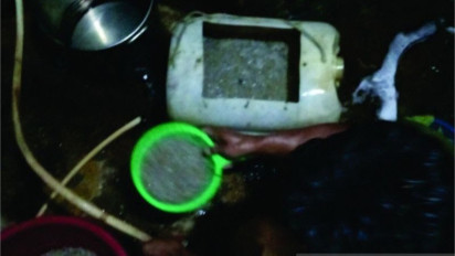 Air Danau Maninjau Agam Tercemar, Ikan Rinuak Jadi Langka