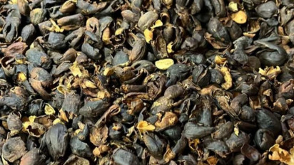 Hore! Teh Kulit Kopi Temanggung Ini Diminati Malaysia