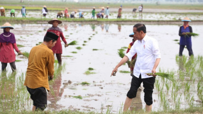 Gunakan Pupuk Organik, Petani Tuban Dipuji Presiden Jokowi