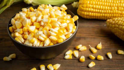 Jangan Langsung Dibuang! Air Rebusan Jagung Ternyata Memiliki Segudang Manfaat, Termasuk Sembuhkan Diabetes