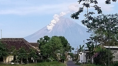 Alami Erupsi, Gunung Semeru Muntahkan Guguran Lava Sejauh 1.500 Meter ke Arah Curah Kobokan
