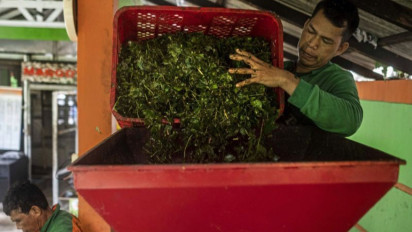 Unand Berhasil Olah Sampah Daun Jadi Residu Biomassa