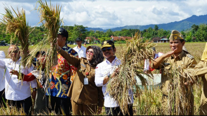 Mentan SYL Bersyukur Kabupaten Klaten Panen Padi IP400, Segera Perluas Ke Daerah Lain