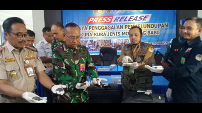Petugas Satgaspam TNI AL Bandara Juanda Gagalkan Penyelundupan 5 Ribu Lebih Labi-labi Mocong Babi
