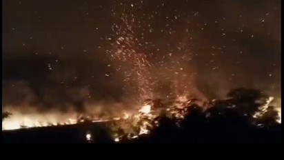 Belasan Hektare Lahan Perkebunan Kelapa Sawit PT PAAL Hangus Dilahap Sijago Merah di Aceh Barat