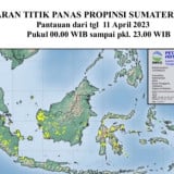BMKG Deteksi 473 Titik Panas di Kalimantan Selatan, Tiga Wilayah Ini Paling Banyak
