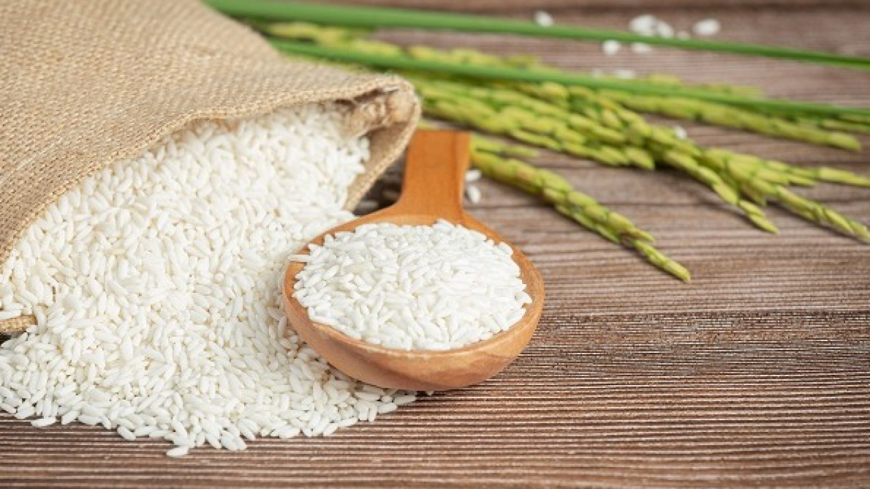 Kemenag Imbau Umat Muslim Bayar Zakat Lewat UPZ
            - galeri foto