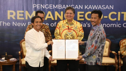 Luncurkan Program Pengembangan Pulau Rempang, Kepala BP Batam Optimistis Realisasi Investasi Meningkat