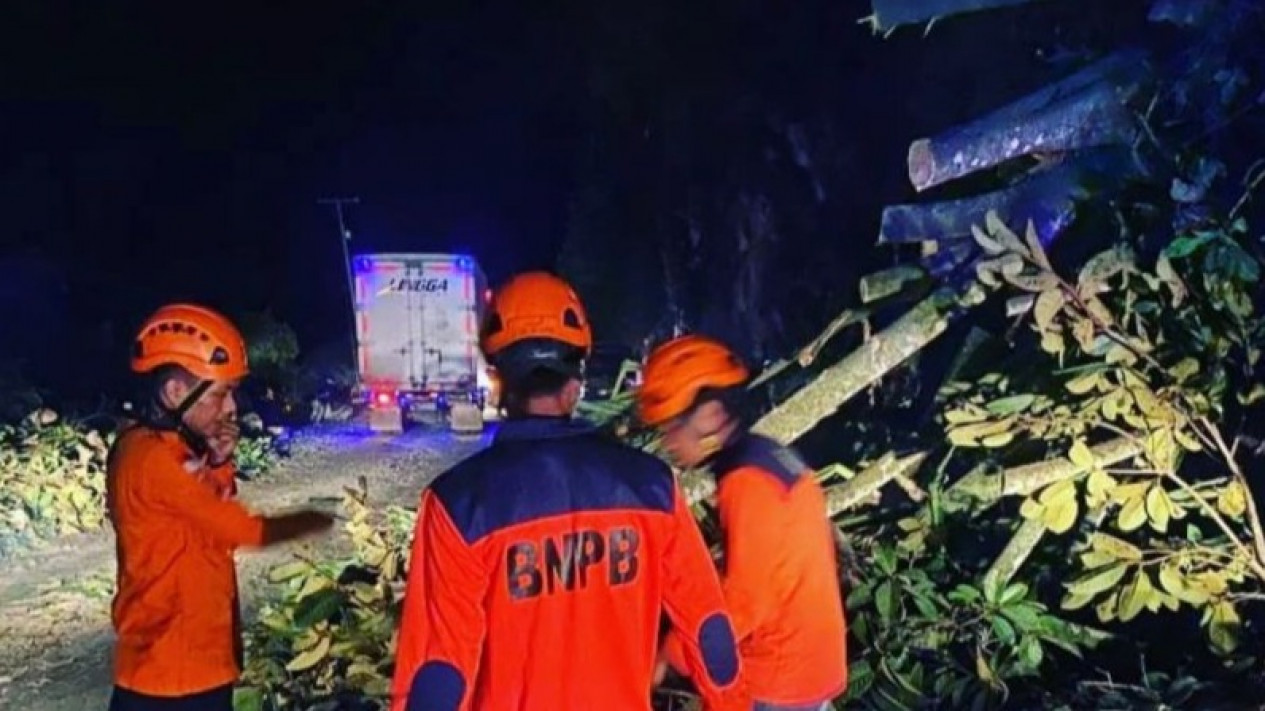 Pasca Tertimbun Longsor, Jalan Sumbar - Riau Sudah Dapat Dilalui
            - galeri foto