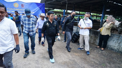 Pantau Ternak Sapi di Bekasi, Mentan SYL Pastikan Ketersediaan Jelang HBKN Aman