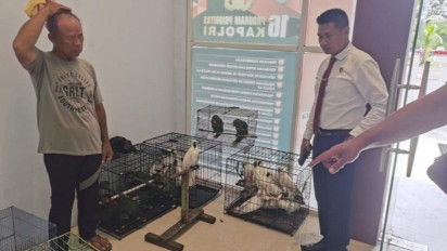 91 Ekor Satwa Liar Dilindungi  Berhasil Diamankan BKSDA Maluku Melalui Operasi Senyap