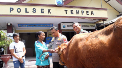 Emosi, Kapolres Lumajang Ultimatum Pelaku Pencurian Sapi agar Segera Menyerah, Ini Penyebabnya