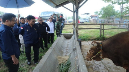 Dorong Provinsi Sulsel Jadi Sentra Sapi Potong Nasional, Mentan Yasin Limpo: Saya Jamin Untung