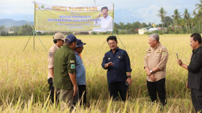 Usai Panen Raya, Mentan SYL Dorong Petani di Kabupaten Pinrang Segera Percepat Masa Tanam