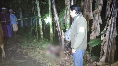 Diduga Terlibat Aksi Pencurian Hewan, Oknum Kepala Dusun Ditemukan Tewas Mengenaskan di Samping Sapi Curiannya
