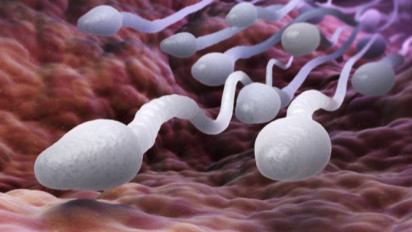 Apa Saja Sih yang Bisa Bikin Sperma Makin Lincah? Pak Su Harus Tahu, Bunda Dukung Ya!