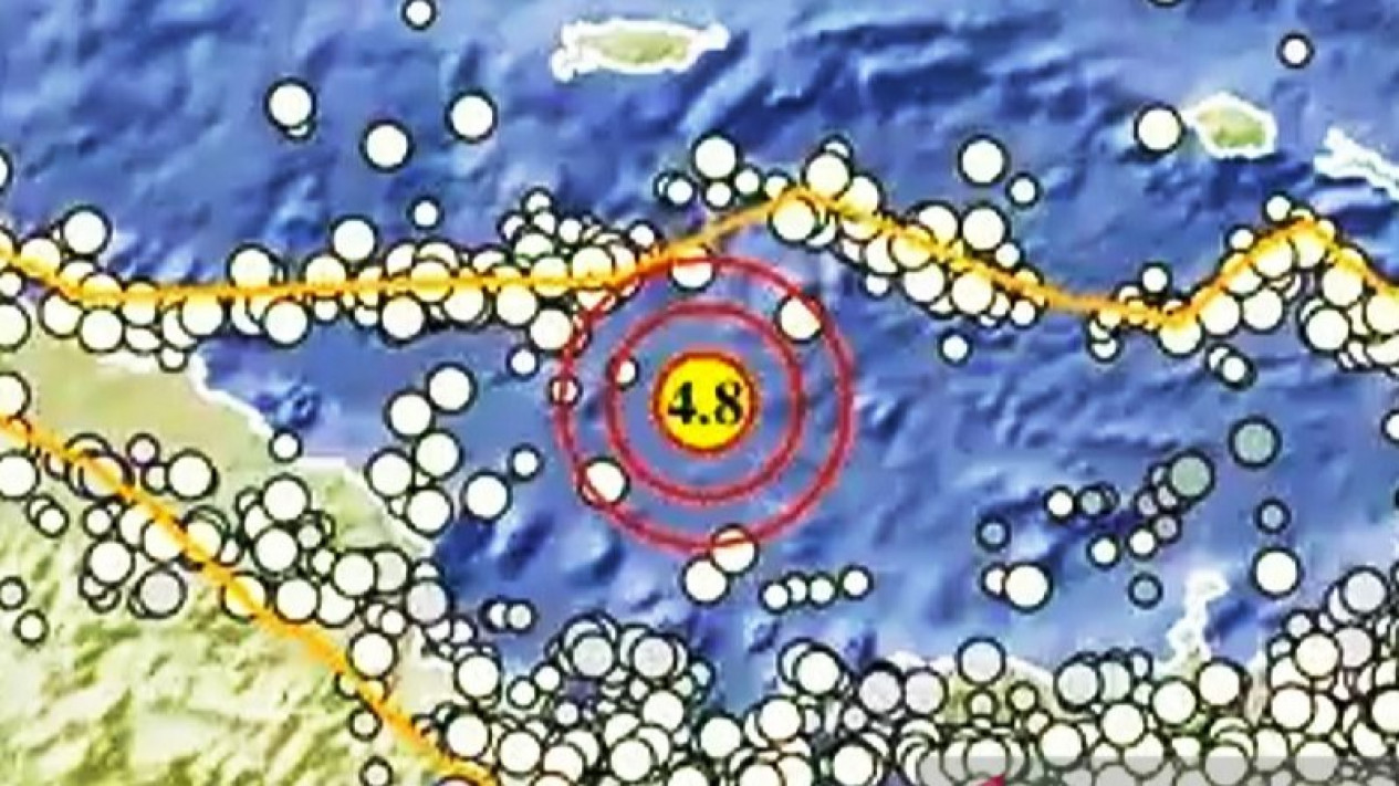 Rentetan Gempa Guncang Beberapa Wilayah Indonesia Malam Ini
            - galeri foto