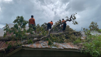 BPBD: Bangunan SLB Batu Kambing Agam Rusak Berat Tertimpa Pohon