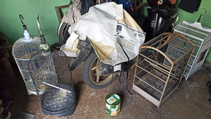 Waspada, Jelang Lebaran Rumah Kosong jadi Incaran Pencuri, Perhiasan dan Burung Kenari Raib Digondol Maling di Malang