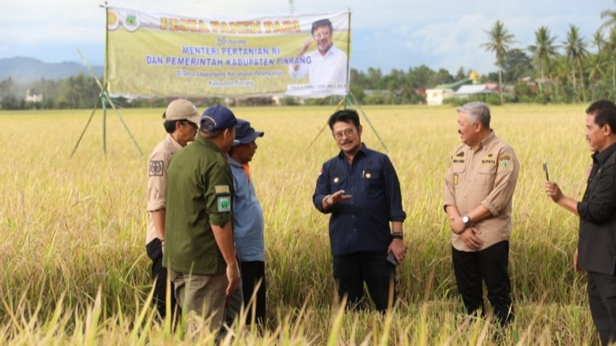 Pengamat: Panen Raya Surplus Beras, Pastikan Pemasaran dan Bulog Maksimalkan Serap
            - galeri foto
