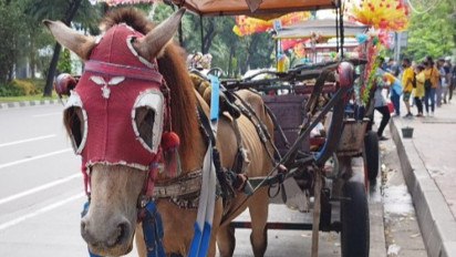 Delman di Kawasan Monas Menarik Perhatian, Sekali Putaran Rogoh Kocek Rp50 Ribu