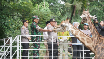 Gubernur Jatim, Pangdam V Brawijaya dan Kapolda Jatim Kunjungi KBS sambil Beri Makan Jerapah, Pastikan Kebun Binatang Aman Selama Liburan